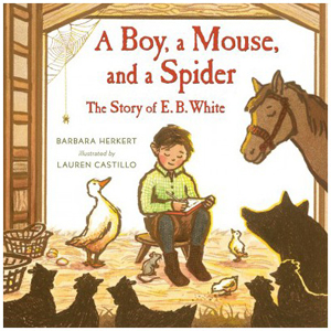 A boy, a mouse, and a spider