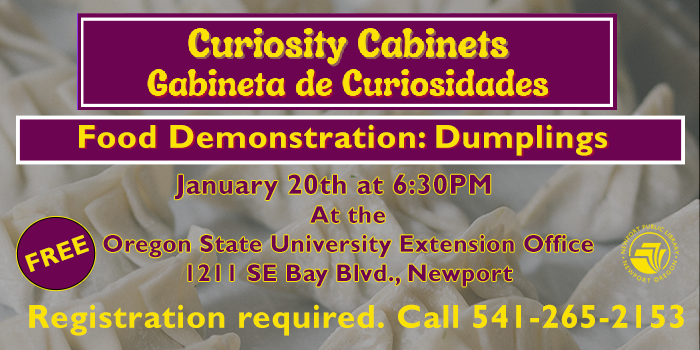 Curiosity cabinet DEMO event
