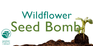 wildflower seed bomb kits