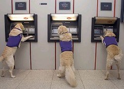 Using the ATM Safely