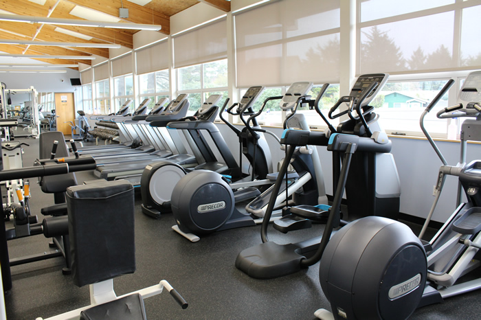 cardio area with ellipticals and treadmills