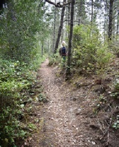 Whalen Island