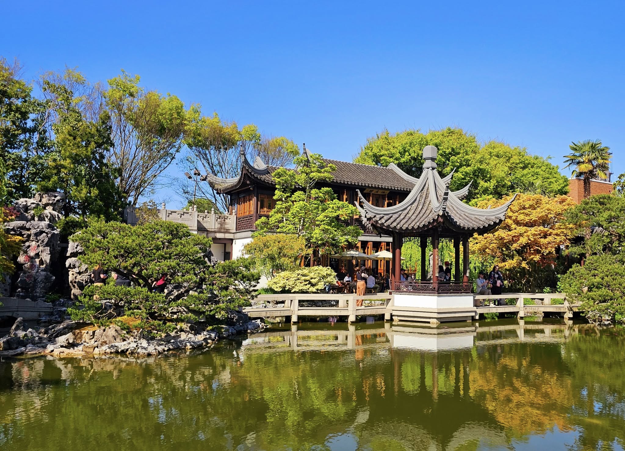 Chinese garden