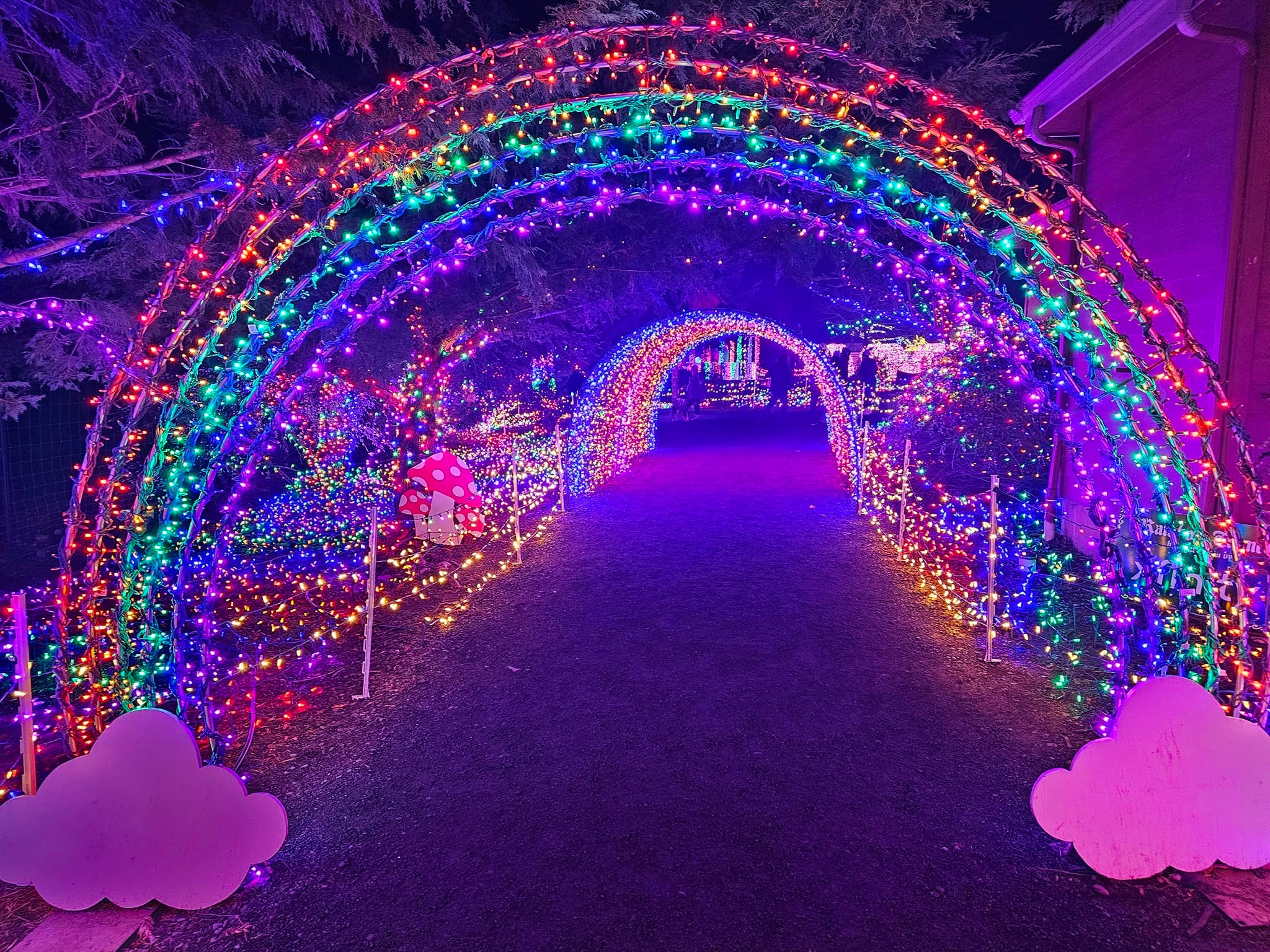 christmas lights
