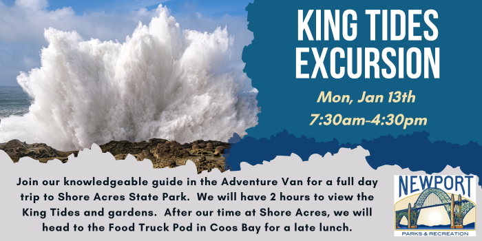 King Tide Tour