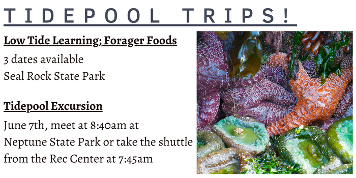Tidepool Trips with the Newport Rec.Center - various dates