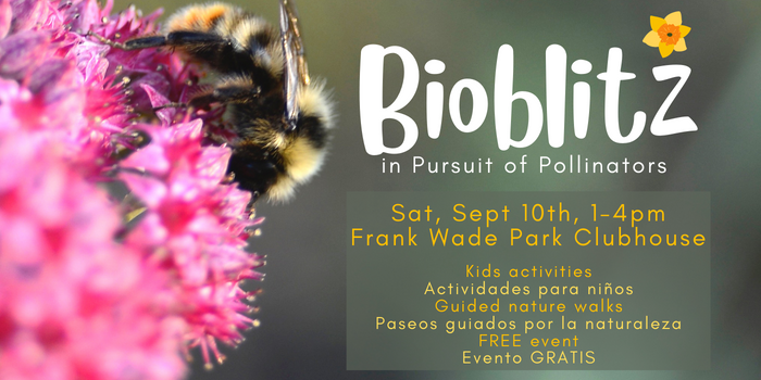 Bioblitz - In Pursuit of Pollinators - Sat.Sept 10th